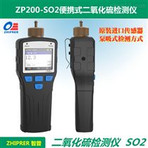 ZP-SO2二氧化硫气体检测仪