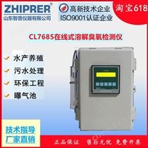 CL7687型在线水中臭氧检测仪
