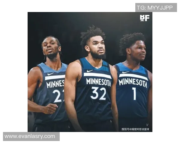 森林狼队换帅，求新天地