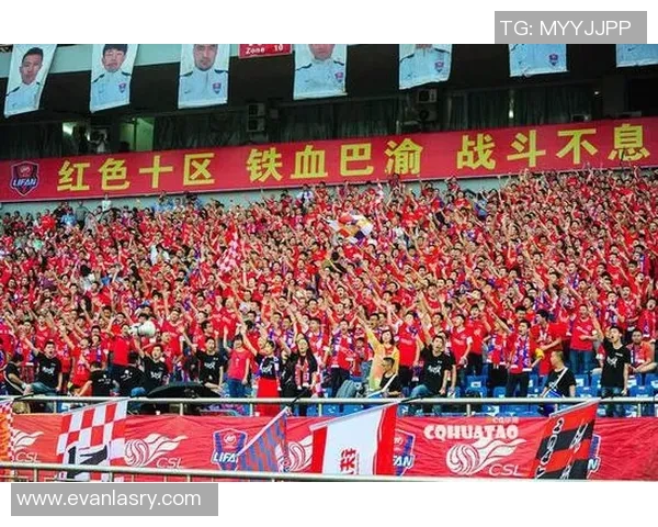 猛龙球迷：铁血战斗精神的传承与支持