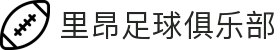 里昂足球俱乐部 - 法国足球的骄傲